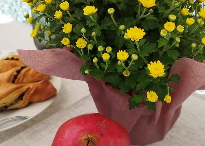 Semesterbostad Ma Maison